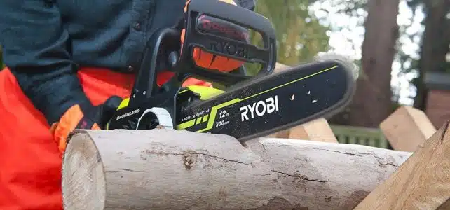 Quelle tronçonneuse choisir pour sa haie et son jardin ?